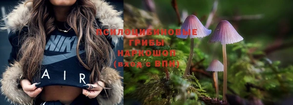 гидра Абдулино