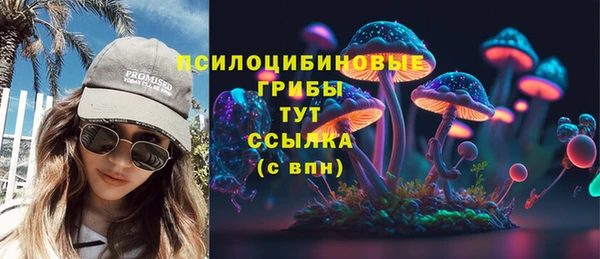 мдпв Майский