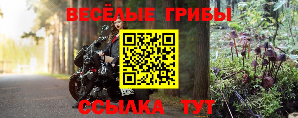 Псилоцибиновые грибы Magic Shrooms Новоуральск